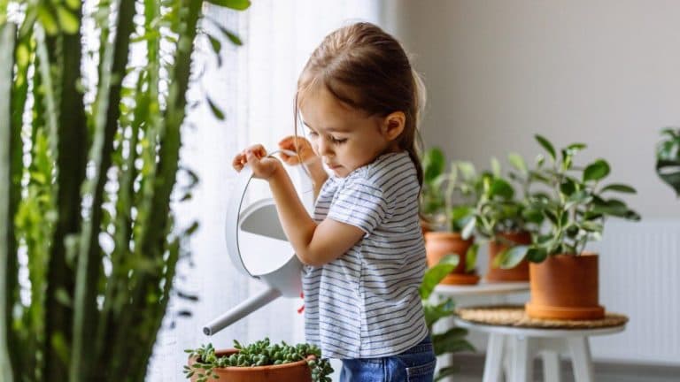 Cuidar plantas reduce cortisol y mejora el estado de ánimo