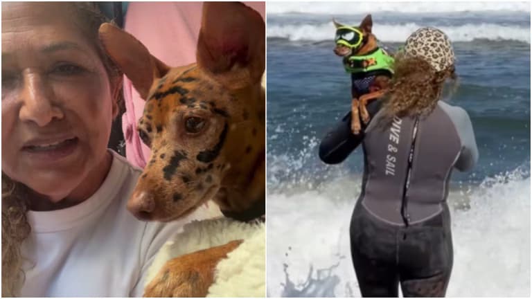 Sophia Sadlowski y su perro superaron el cáncer y ahora surfean juntos en competencias