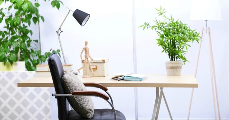 Una planta en el escritorio reduce el estrés de manera significativa