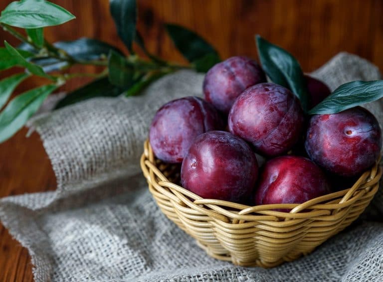 Ciruela: la fruta con fibra y vitaminas que cuida desde la piel hasta la visión